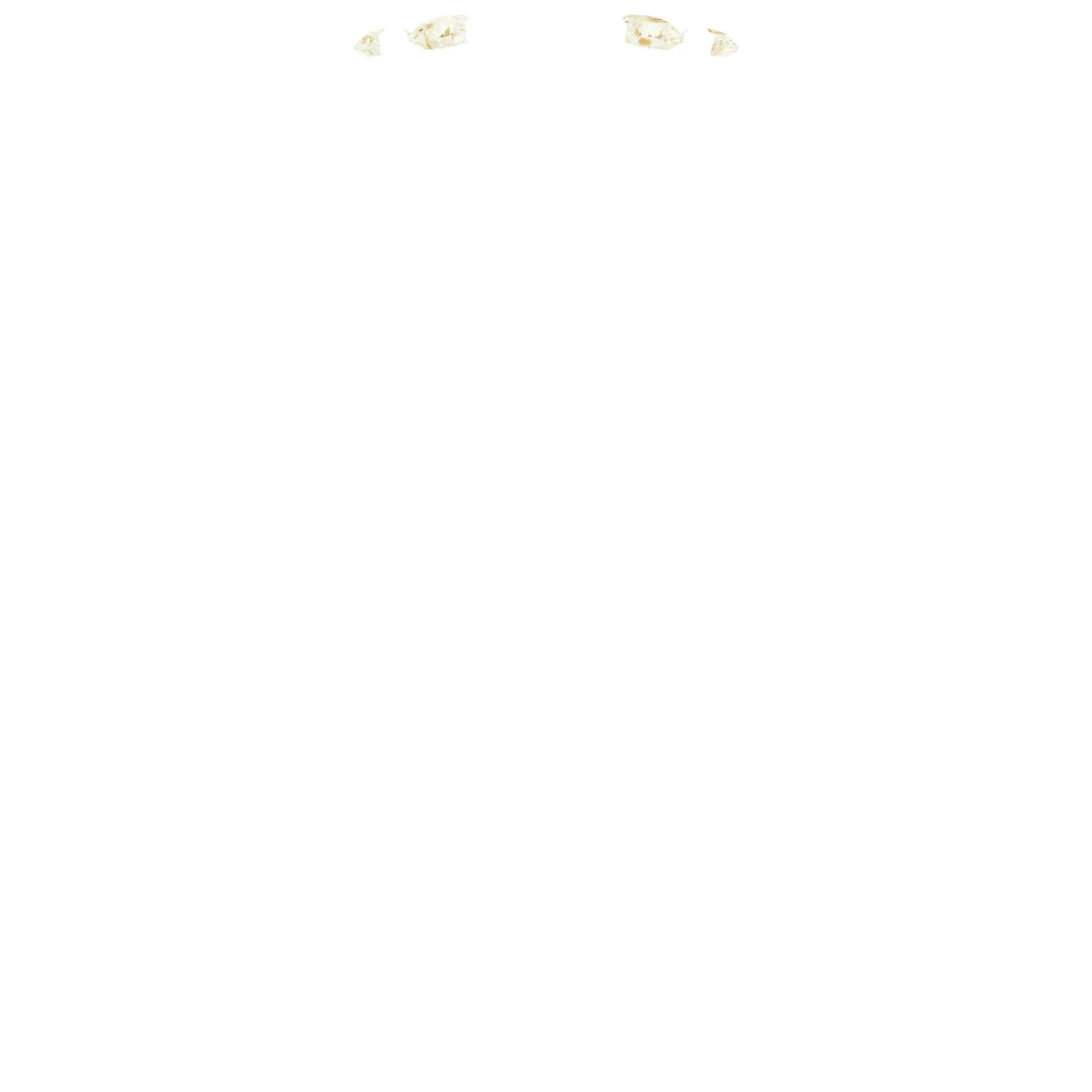 Soft Arc view 2