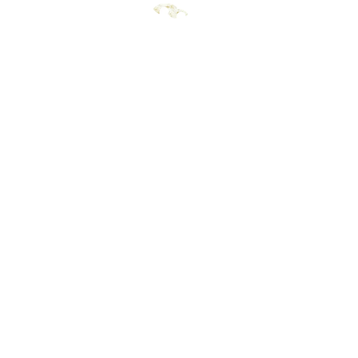 Soft Arc view 4