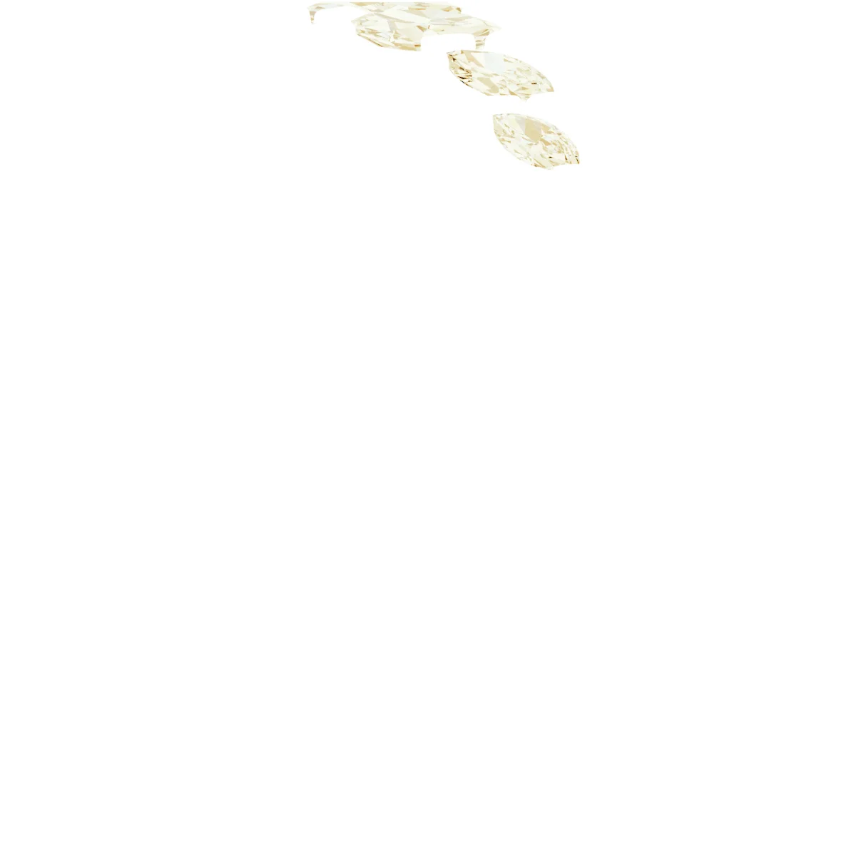 Soft Arc view 4