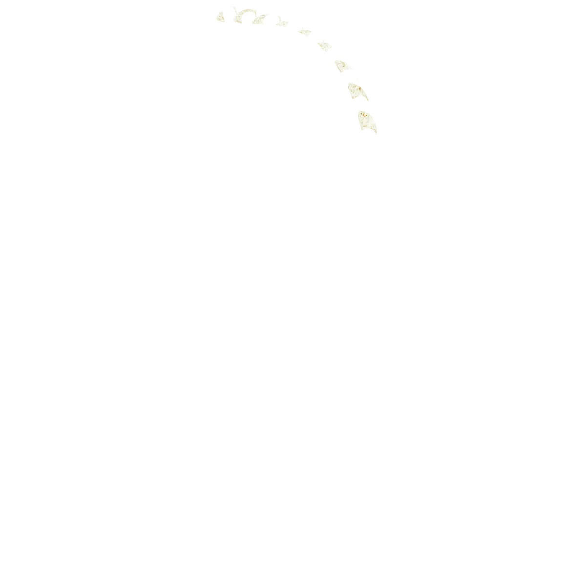 Soft Arc view 4