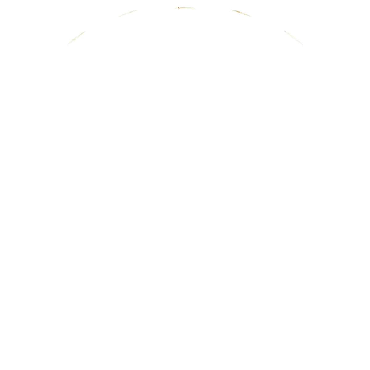 Soft Arc view 2