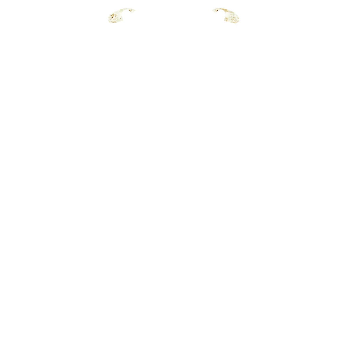 Soft Arc view 2