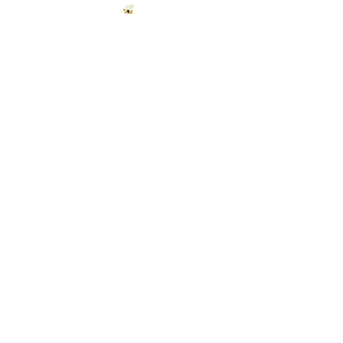 Soft Arc view 4
