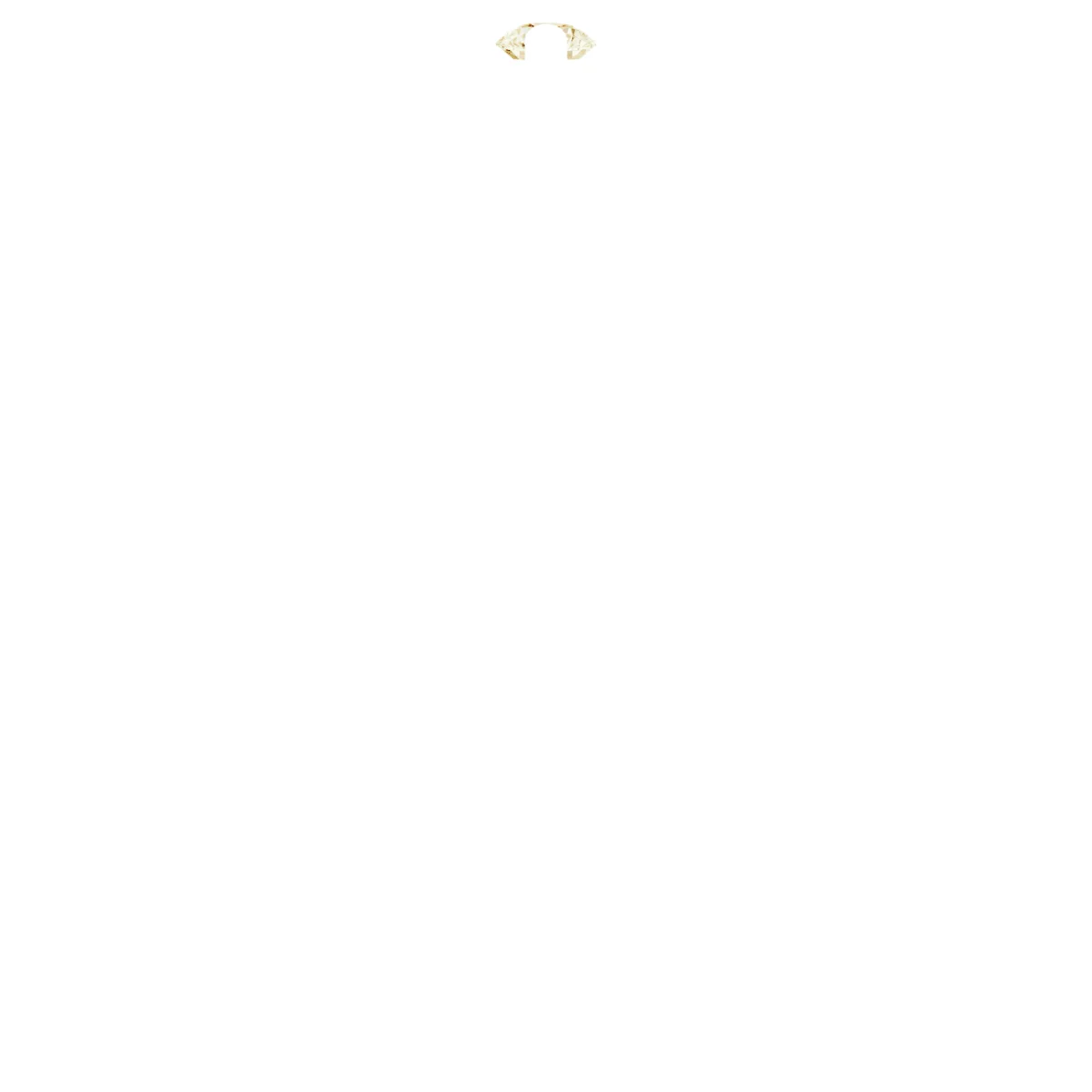 Soft Arc view 2
