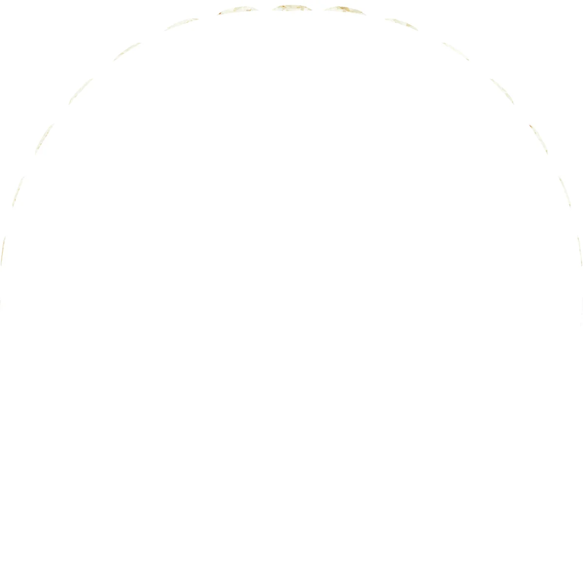 Soft Arc view 2