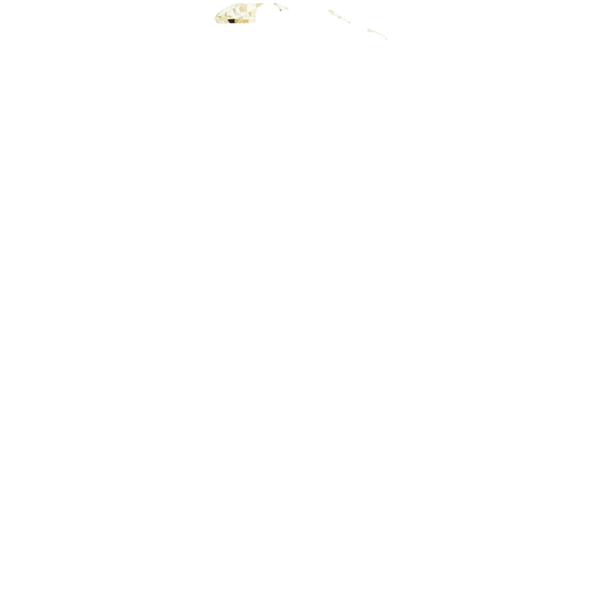 Soft Arc view 4