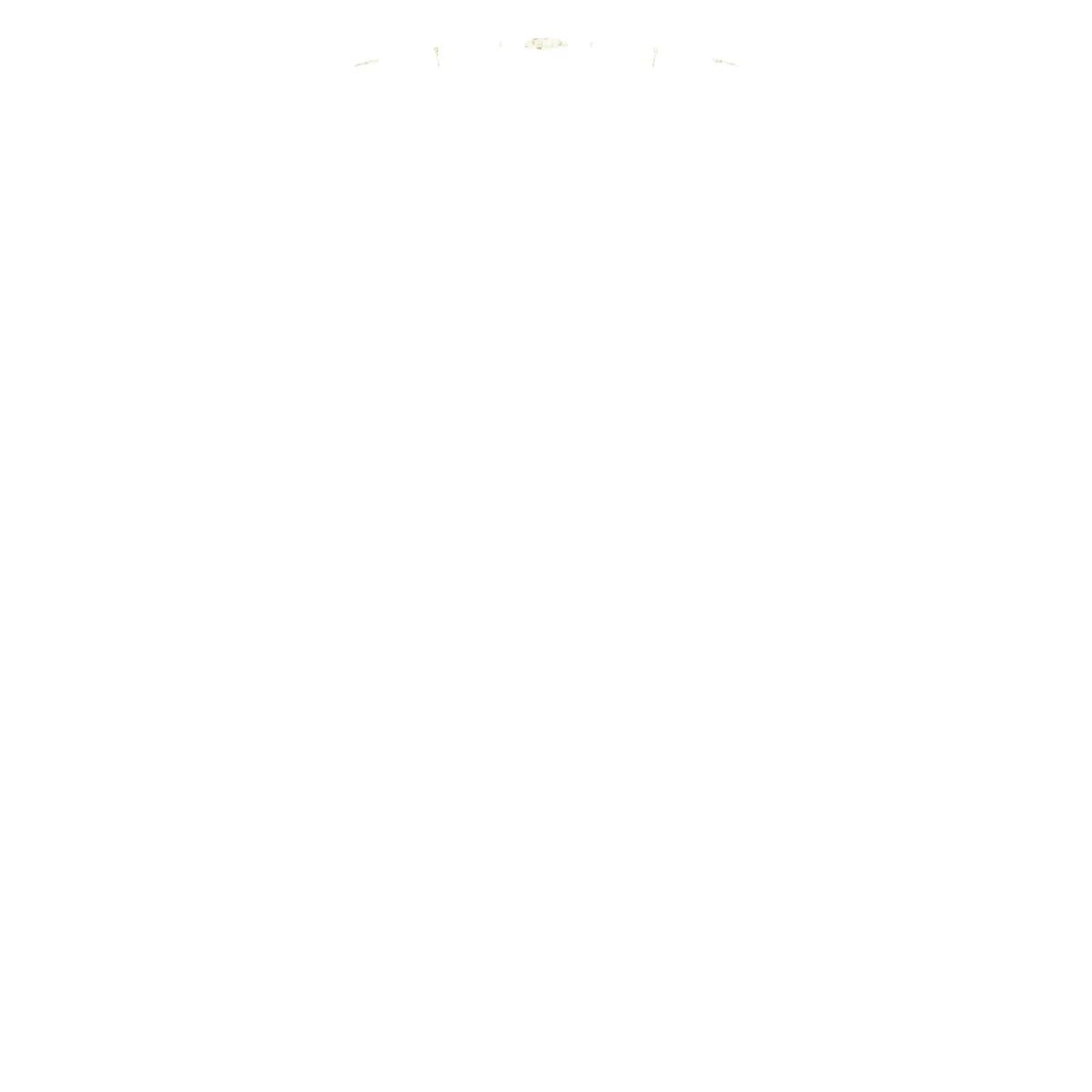 Soft Arc view 2
