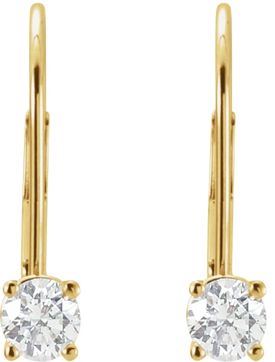 Round Lever Back Earrings view 2