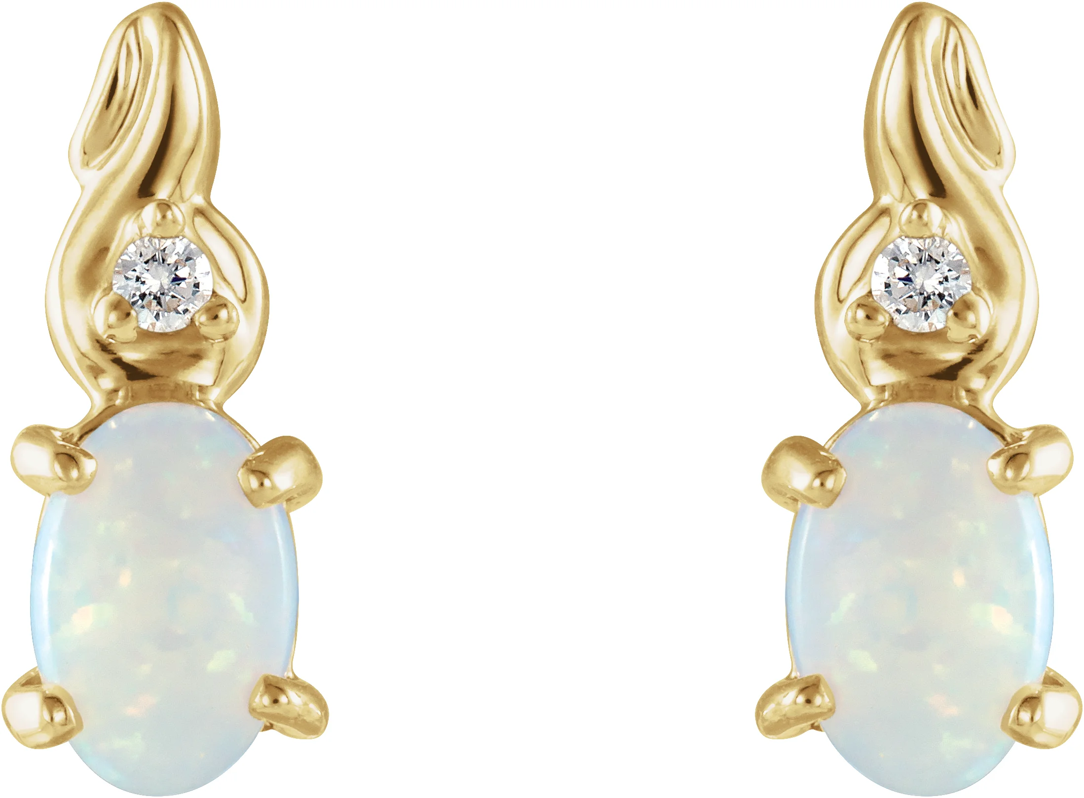 Accented Earrings view 2