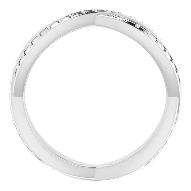 Long Arc view 2