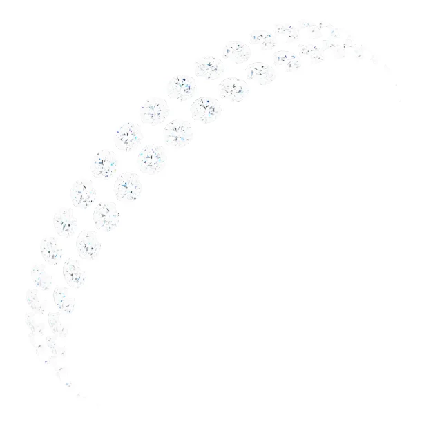 Double Row Eternity Band view 6