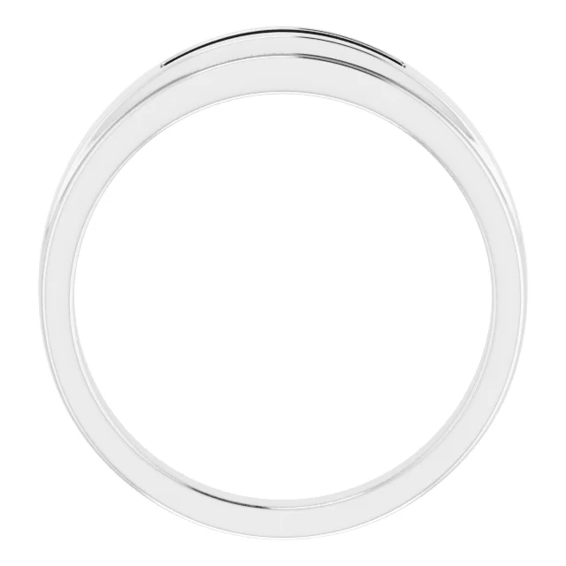 Seven-Stone Band view 2