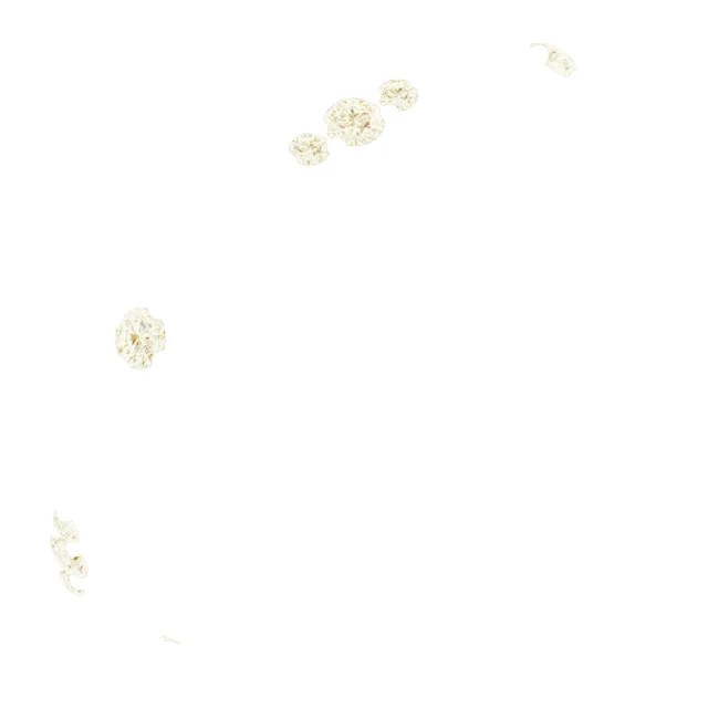 First Light band in 14K White Gold | Haejin Jewelry Brooklyn