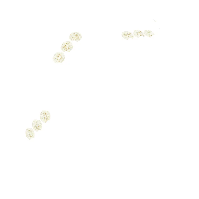 Floral Anniversary Band band in 14K White Gold | Haejin Jewelry Brooklyn