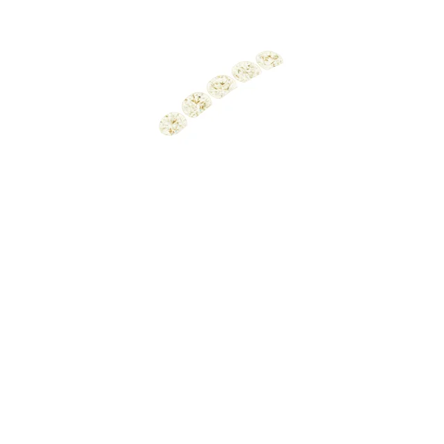 Five-Stone Band band in 14K White Gold | Haejin Jewelry Brooklyn
