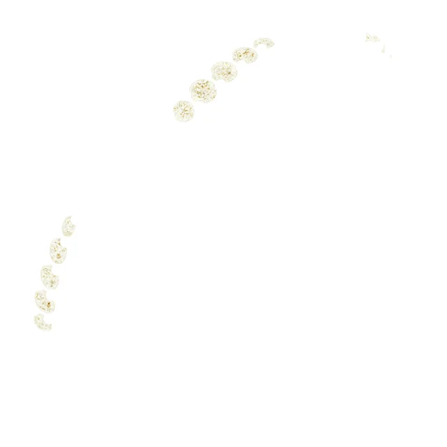 Long Bond band in 14K White Gold | Haejin Jewelry Brooklyn