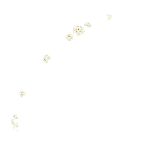 Long Bond band in 14K White Gold | Haejin Jewelry Brooklyn