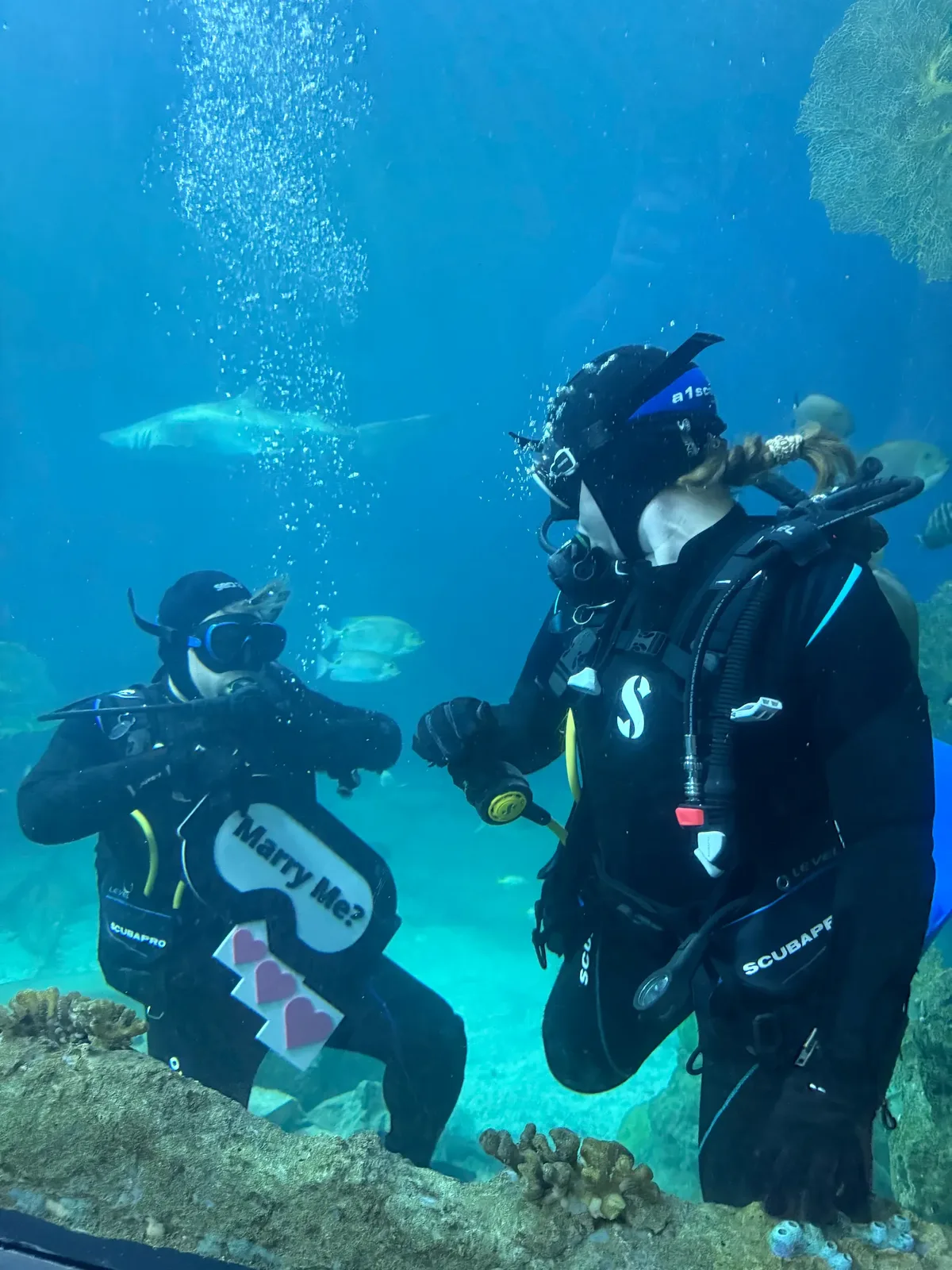 Underwater scuba diving proposal with Marry Me sign and Haejin Jewelry engagement ring