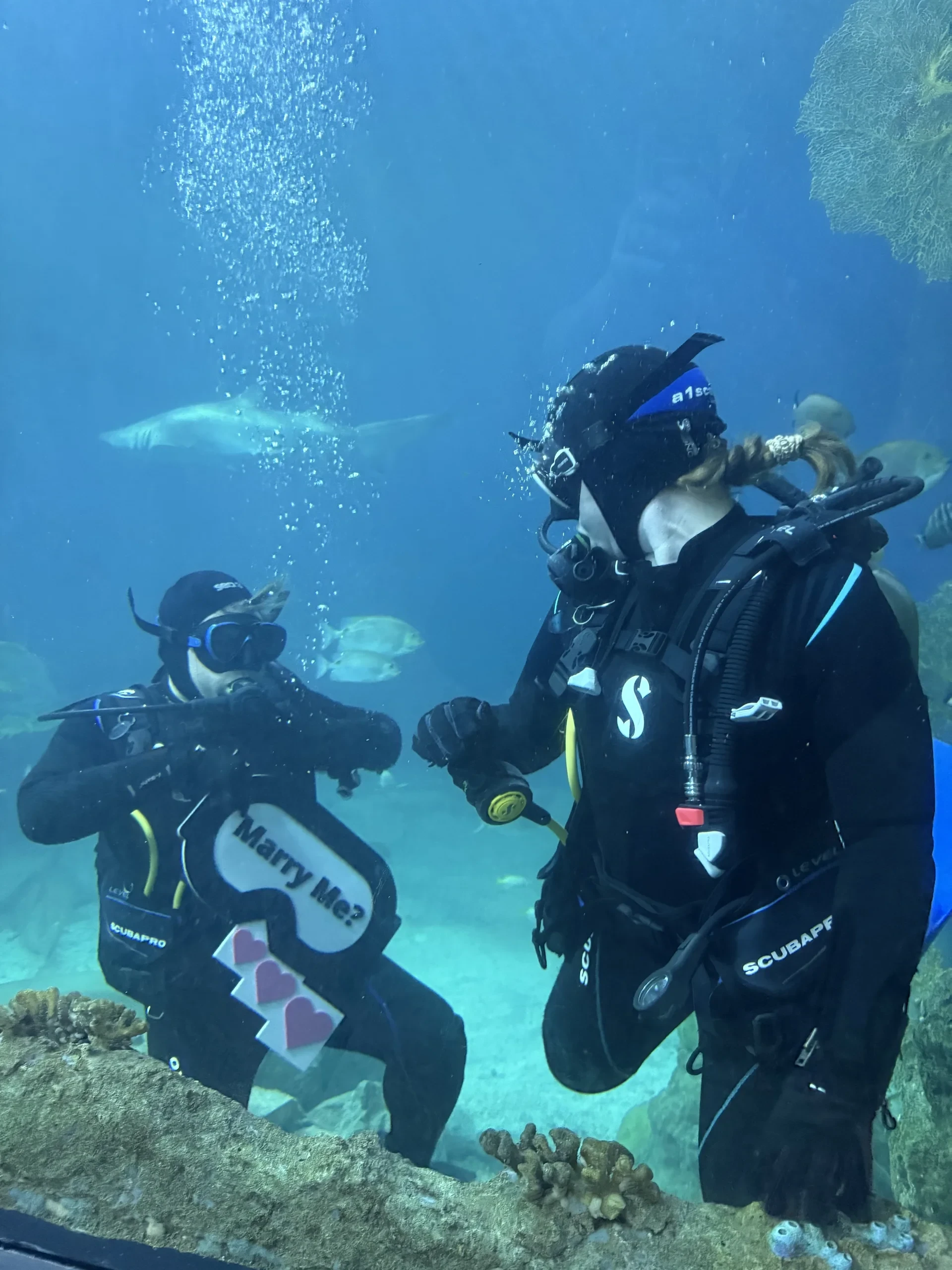 Underwater scuba diving proposal with custom Haejin Jewelry engagement ring