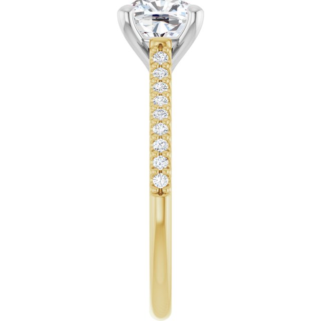 126578:806:P_5