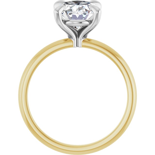 123823:1882:P_3