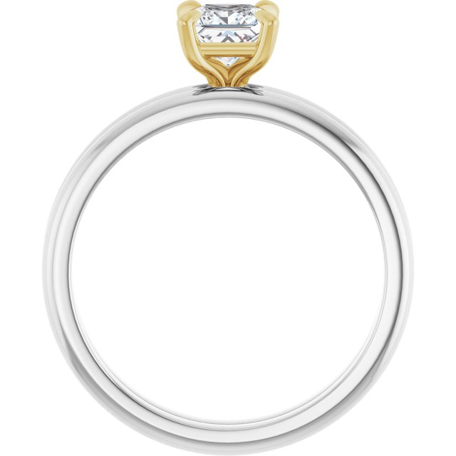 123823:1676:P_8