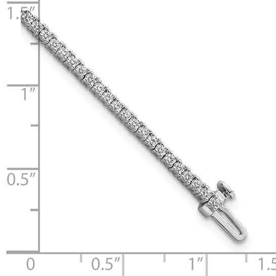 BM10301-WLD_6