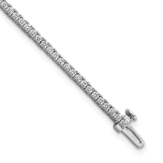 BM10301-WLD_1